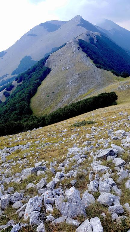 "La Casetta" Dei Laghi Di Sibari Laghi di Sibarai Exterior photo